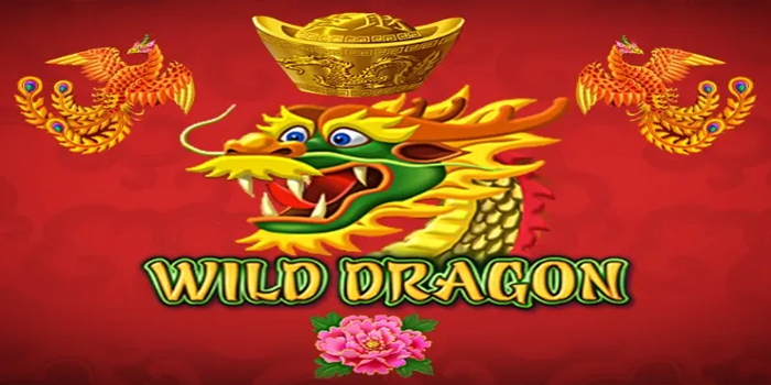 Rahasia Maxwin Slot Wild Dragon